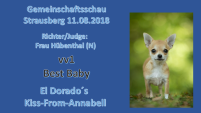Gemeinschaftsschau Strausberg Babyklasse 11.08.2018