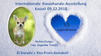 Internationale Kassel Jugendklasse 09.12.18