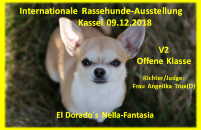 Internationale Kassel Offene Klasse Lillie 09.12.18